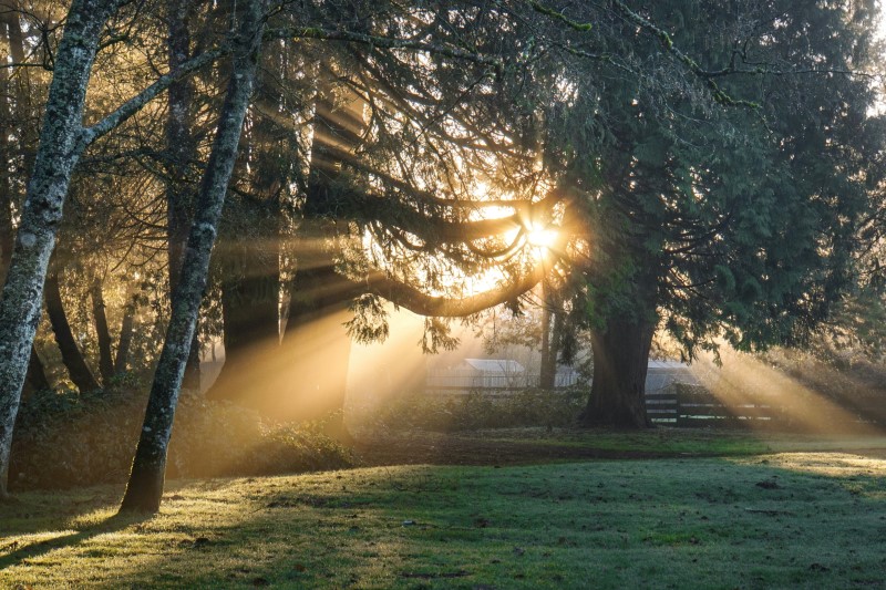 kodi i rrëshqitur i shkaktuar nga Sunlight.jpg