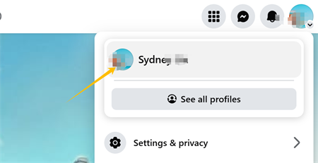kliko fotografin&euml; e profilit n&euml; Facebook